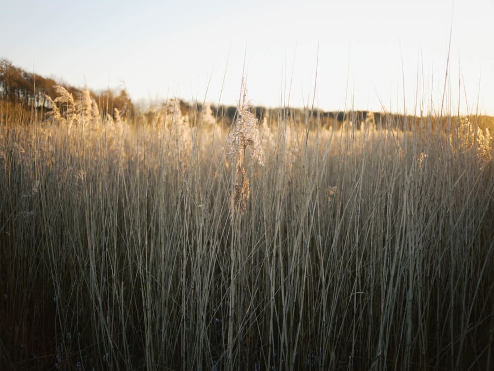 Joakim Hertze &mdash; Swedish portrait and editorial photographer &mdash; January, image 9