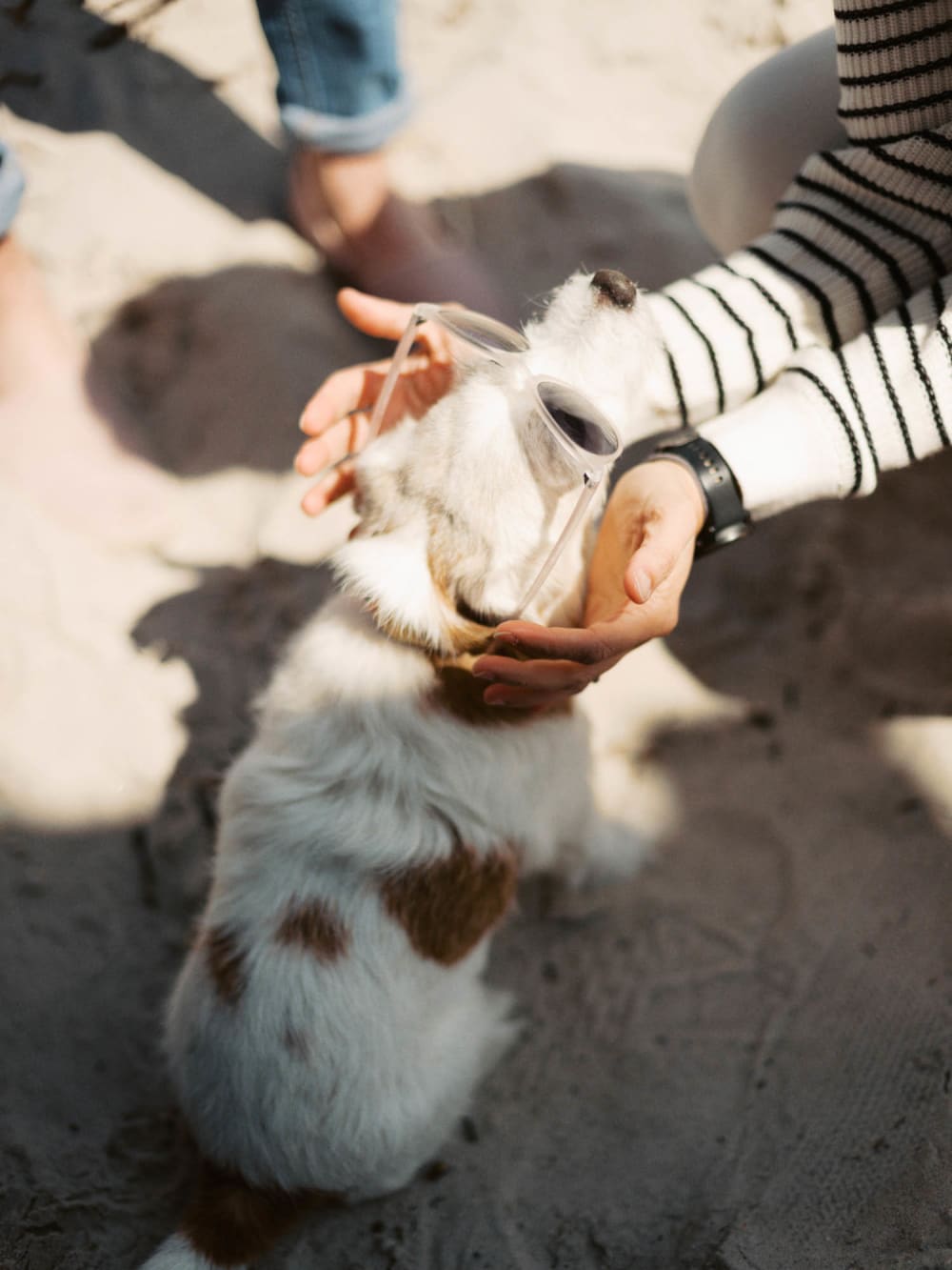 Joakim Hertze — Swedish portrait and editorial photographer — The greatest leftovers, image 26