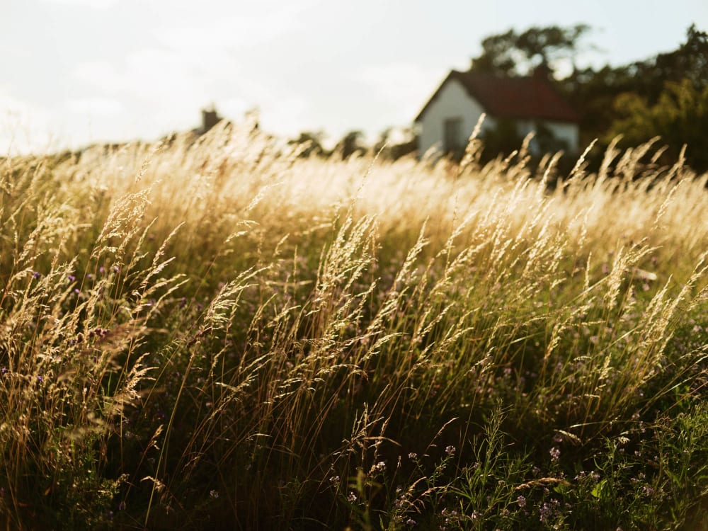 Joakim Hertze &mdash; Swedish portrait and editorial photographer &mdash; Åhus, image 7