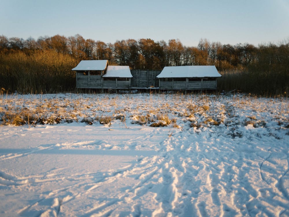 Joakim Hertze &mdash; Swedish portrait and editorial photographer &mdash; January, image 5