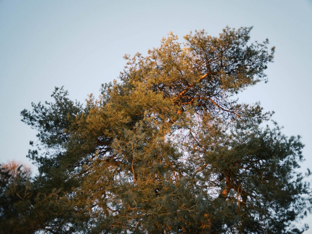 Joakim Hertze &mdash; Swedish portrait and editorial photographer &mdash; January, image 8