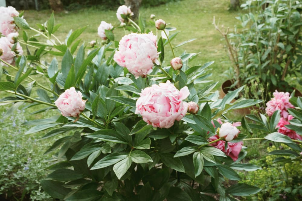 Joakim Hertze — Swedish portrait and editorial photographer — Graduation week, image 2