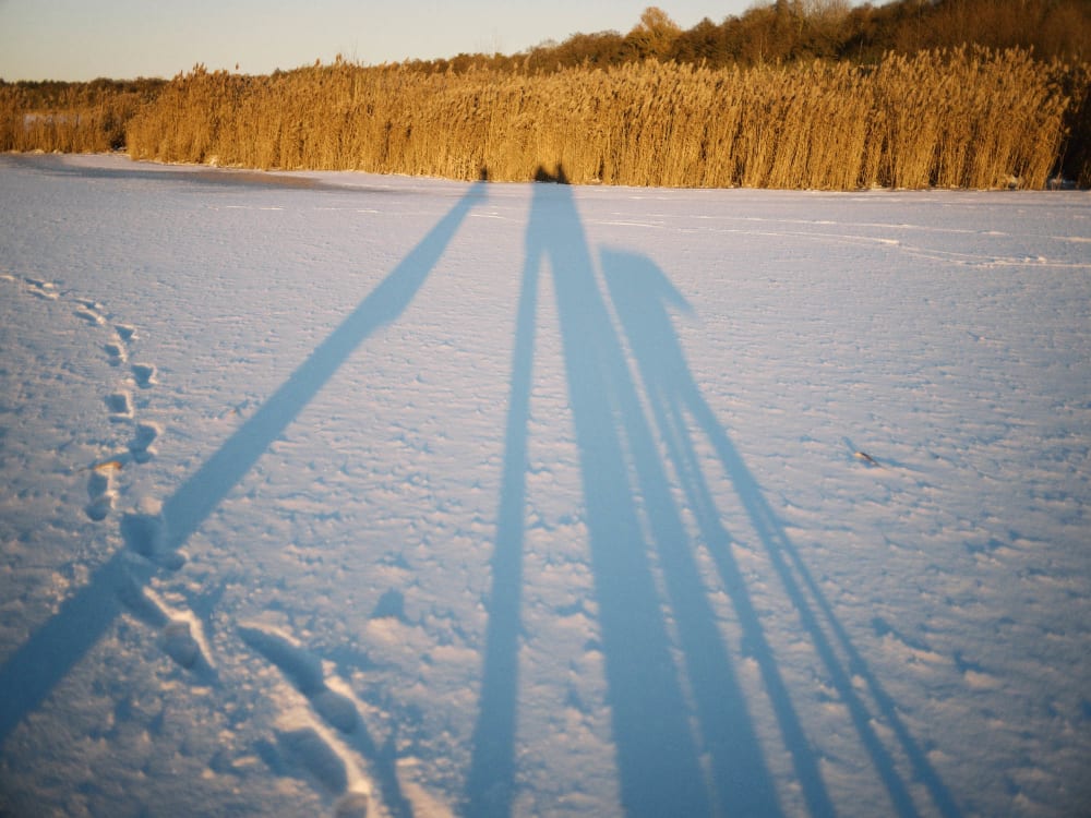 Joakim Hertze &mdash; Swedish portrait and editorial photographer &mdash; January, image 7