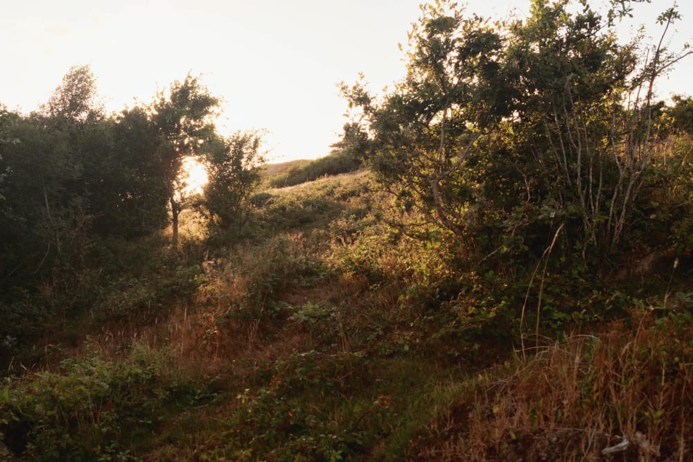 Joakim Hertze — Swedish portrait and editorial photographer — Closing at Kullen, image 10