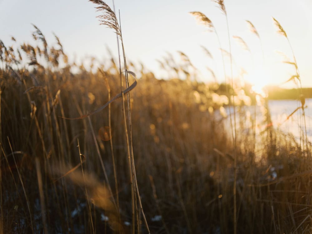 Joakim Hertze &mdash; Swedish portrait and editorial photographer &mdash; January, image 2