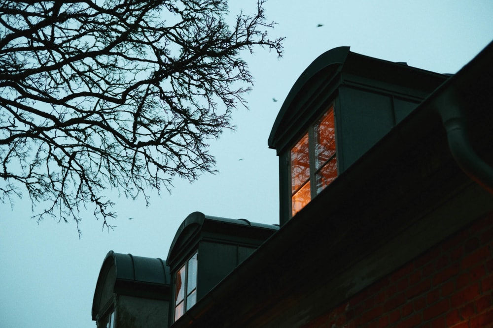 Joakim Hertze — Swedish portrait and editorial photographer — The greatest leftovers, image 19