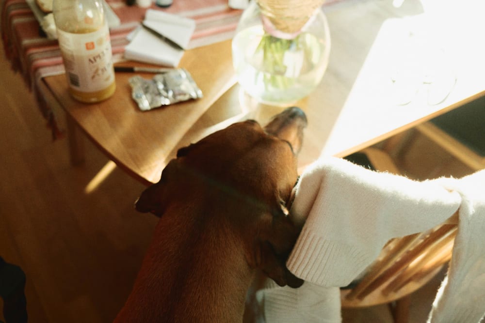 Joakim Hertze &mdash; Swedish portrait and editorial photographer &mdash; Best of 2025, image 4