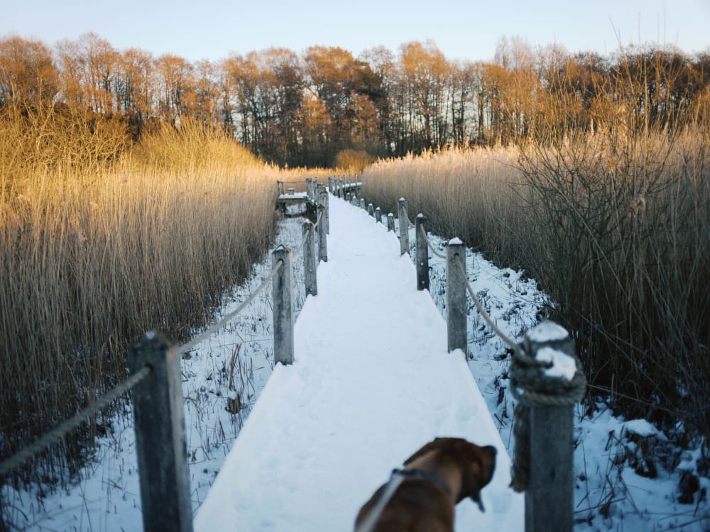 Joakim Hertze &mdash; Swedish portrait and editorial photographer &mdash; January, image 10