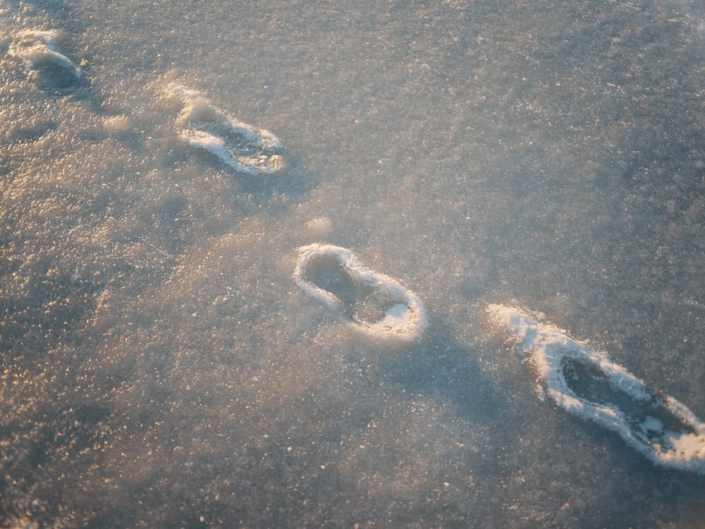 Joakim Hertze &mdash; Swedish portrait and editorial photographer &mdash; January, image 4