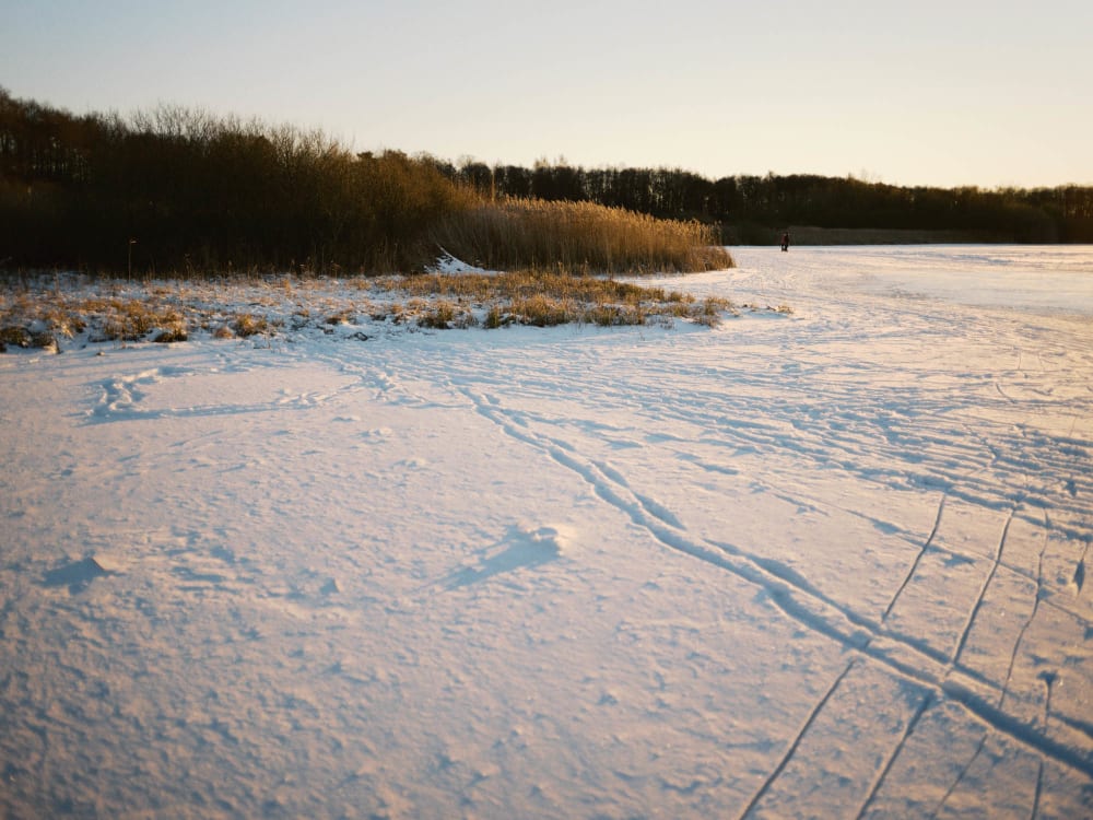 Joakim Hertze &mdash; Swedish portrait and editorial photographer &mdash; January, image 1