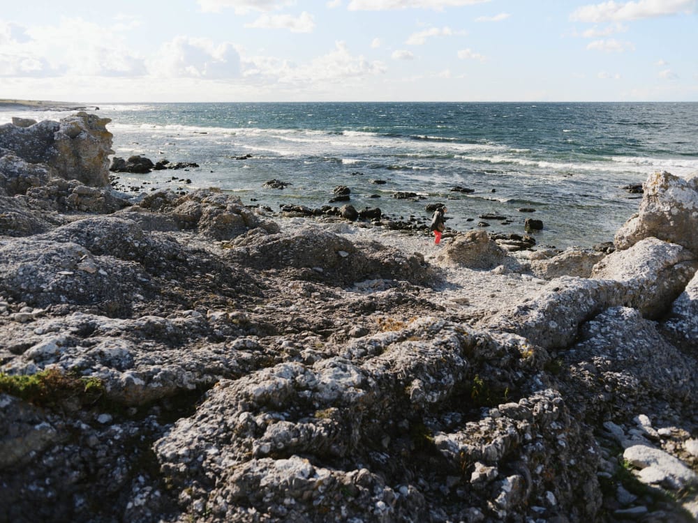 Joakim Hertze — Swedish portrait and editorial photographer — Gotland at last, image 35