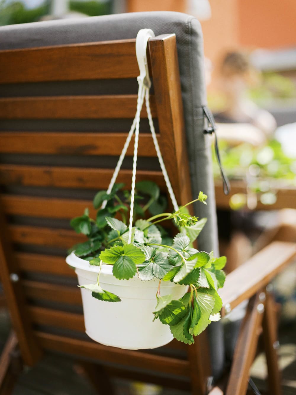 Joakim Hertze — Swedish portrait and editorial photographer — Midsummer, image 12