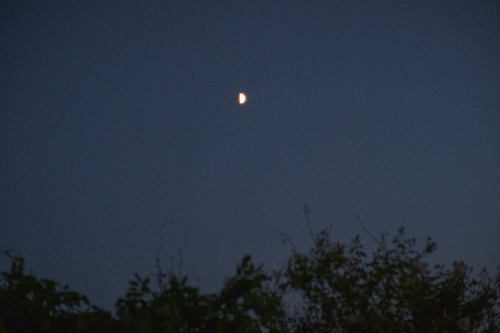 Joakim Hertze — Swedish portrait and editorial photographer — Midsummer, image 20