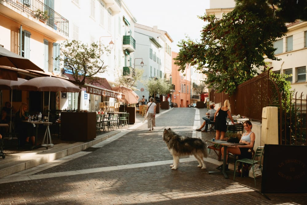 Joakim Hertze — Swedish portrait and editorial photographer — Nice and Antibes, image 23