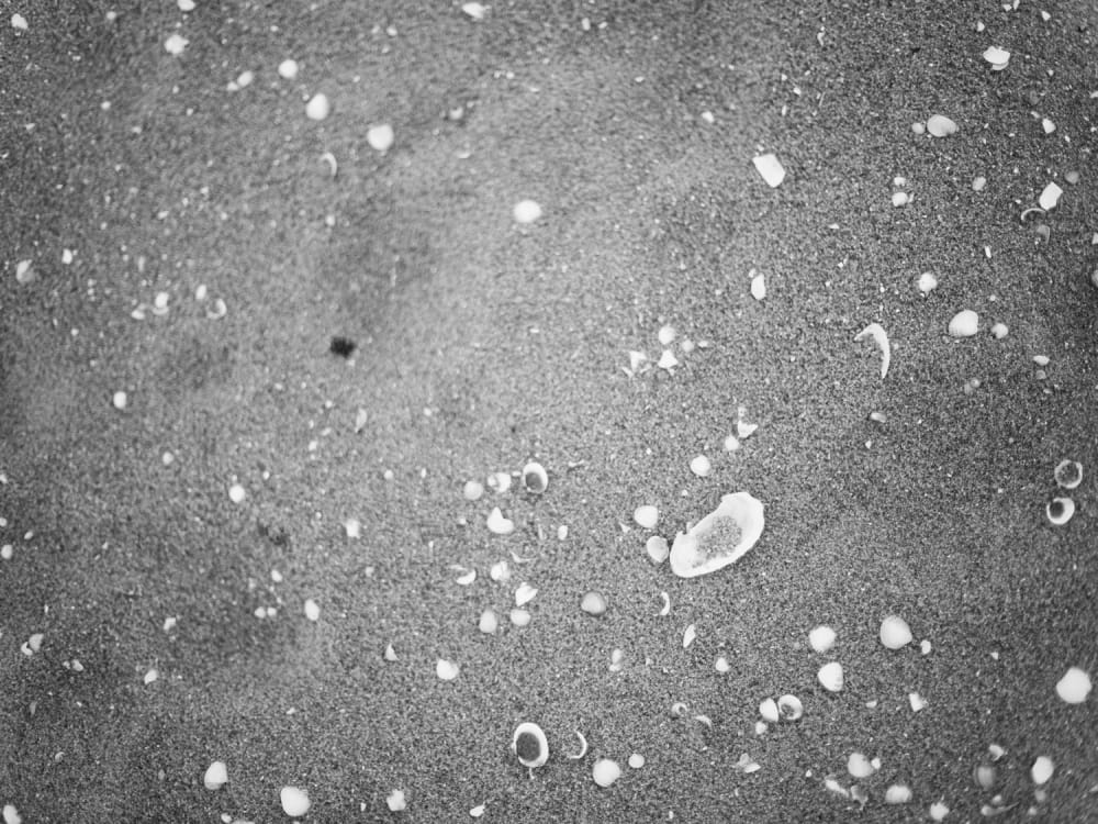 Joakim Hertze — Swedish portrait and editorial photographer — Norma, image 11