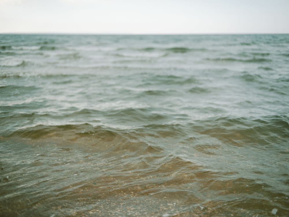 Joakim Hertze — Swedish portrait and editorial photographer — Norma, image 25