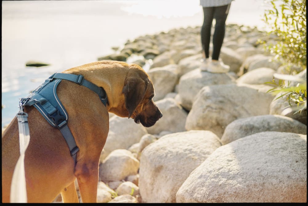 Joakim Hertze — Swedish portrait and editorial photographer — Poser Frames, image 3