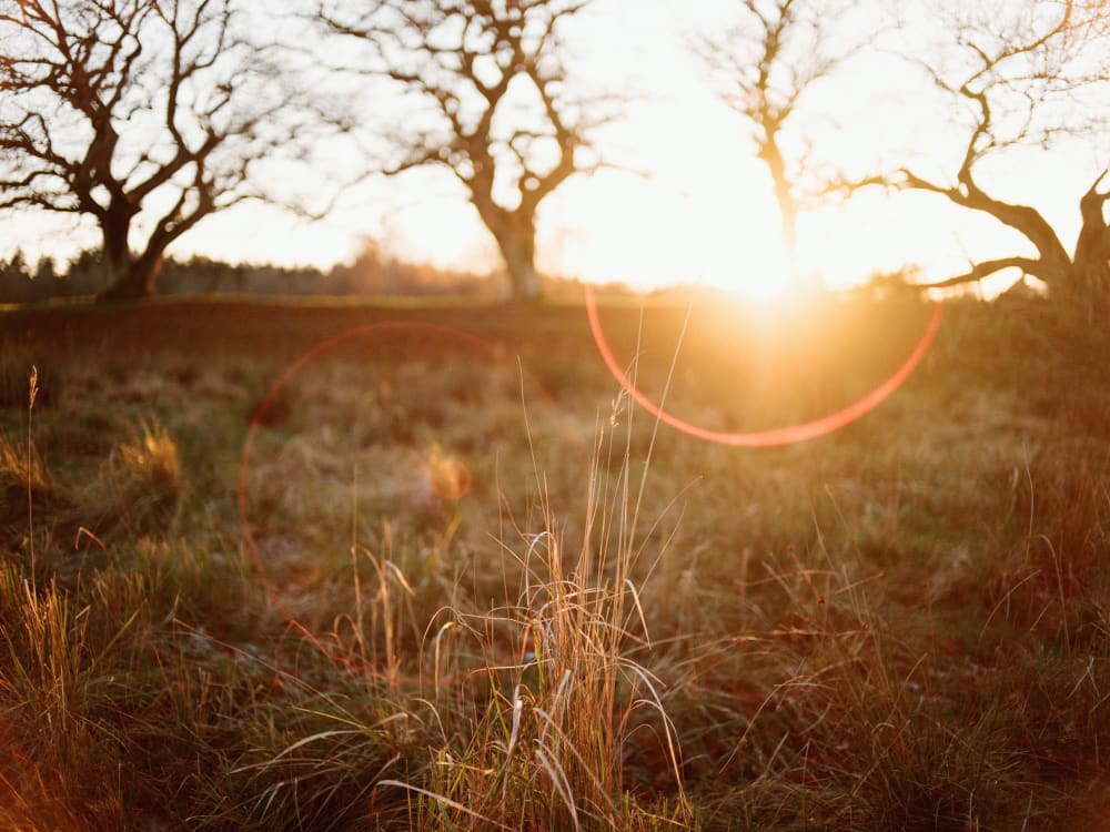 Joakim Hertze — Swedish portrait and editorial photographer — Thrifted, image 19