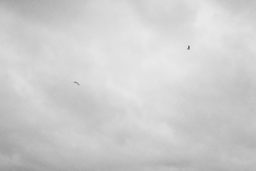 Joakim Hertze — Swedish portrait and editorial photographer — Sara by the sea, image 6