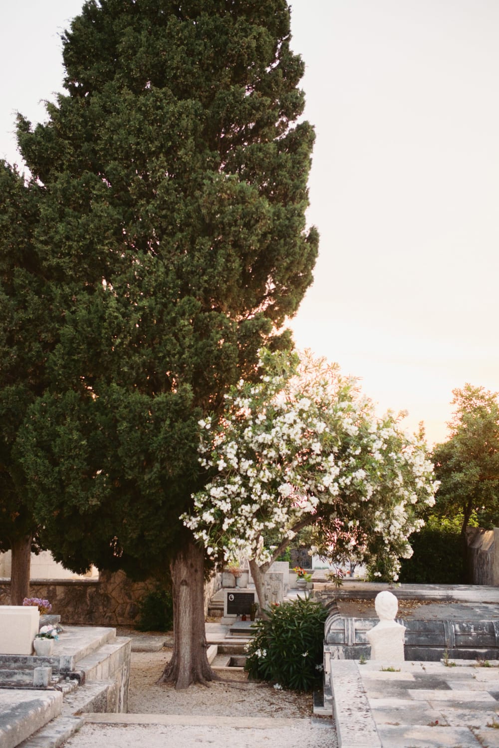 Joakim Hertze — Swedish portrait and editorial photographer — Supetar, image 7