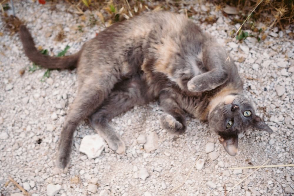 Joakim Hertze — Swedish portrait and editorial photographer — Supetar, image 31