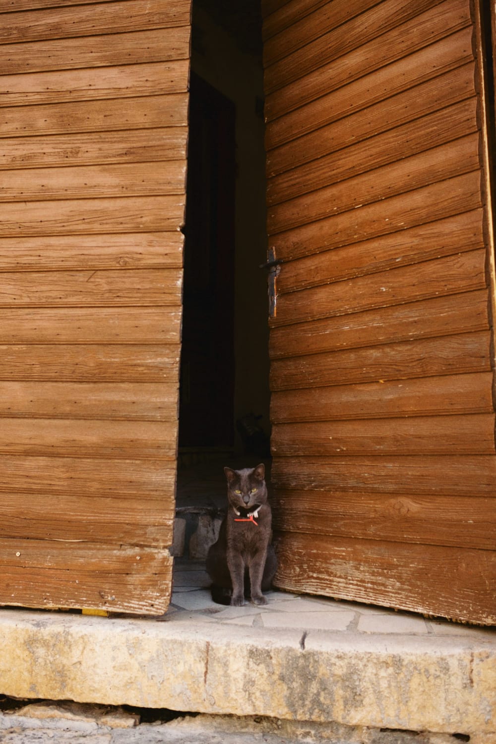 Joakim Hertze — Swedish portrait and editorial photographer — Supetar, image 43