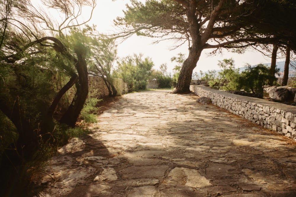 Joakim Hertze — Swedish portrait and editorial photographer — Supetar, image 47