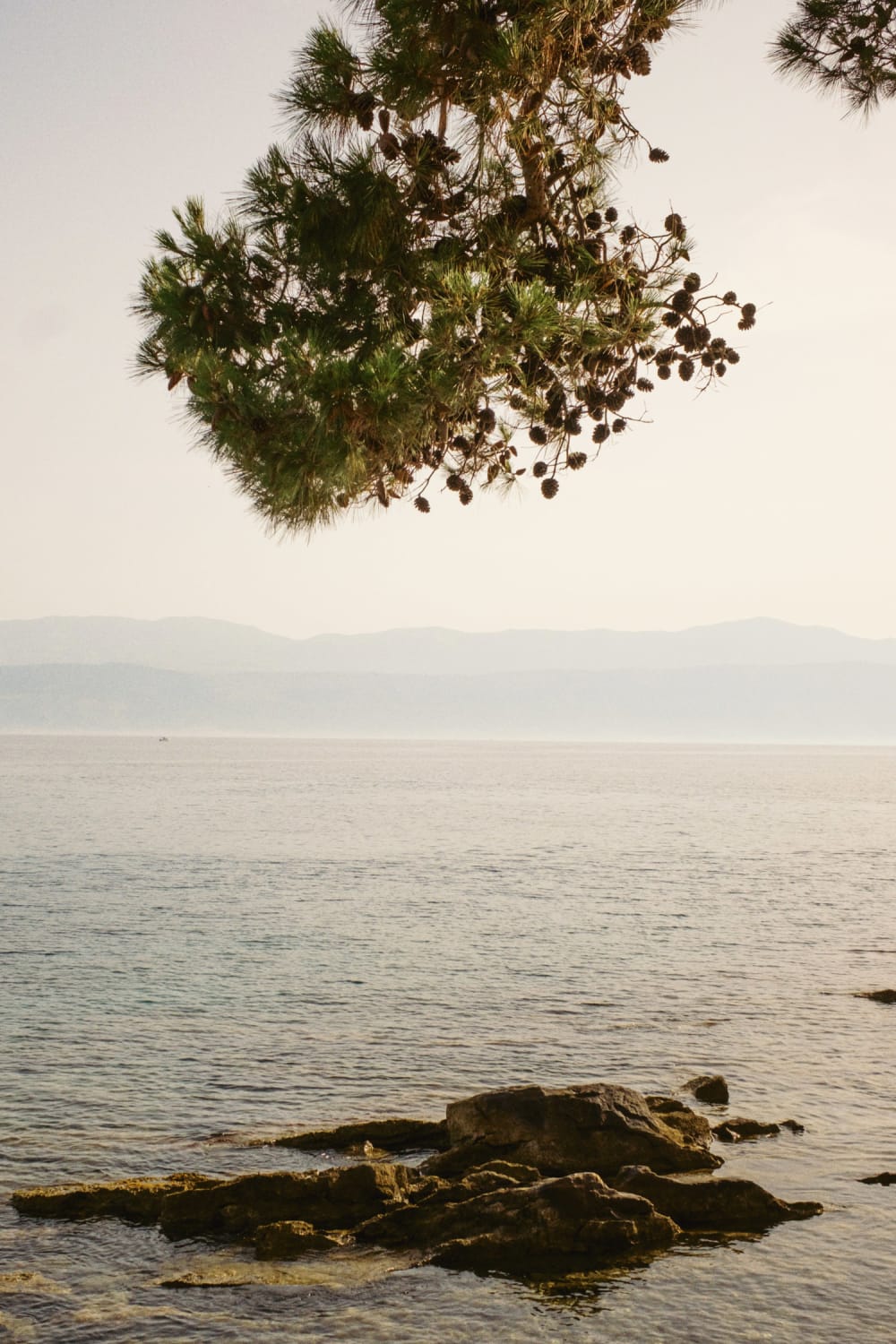 Joakim Hertze — Swedish portrait and editorial photographer — Supetar, image 48