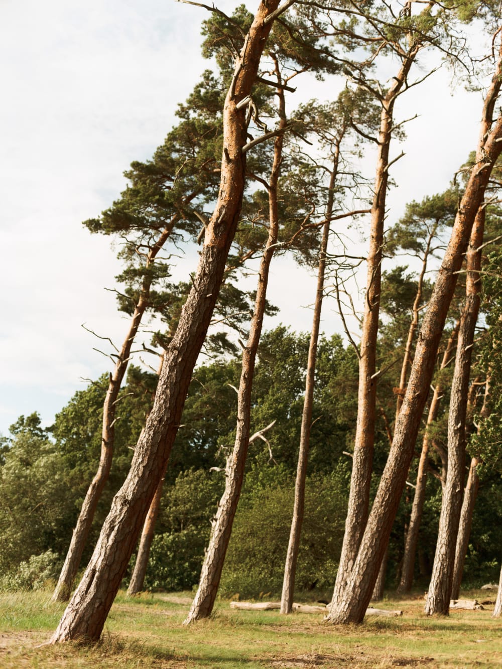 Joakim Hertze — Swedish portrait and editorial photographer — Tuva, image 19