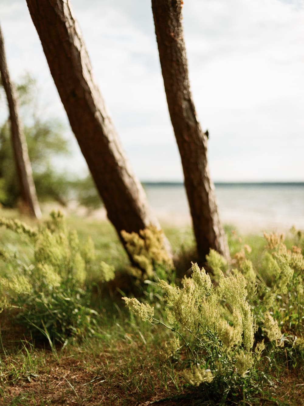 Joakim Hertze — Swedish portrait and editorial photographer — Tuva, image 21