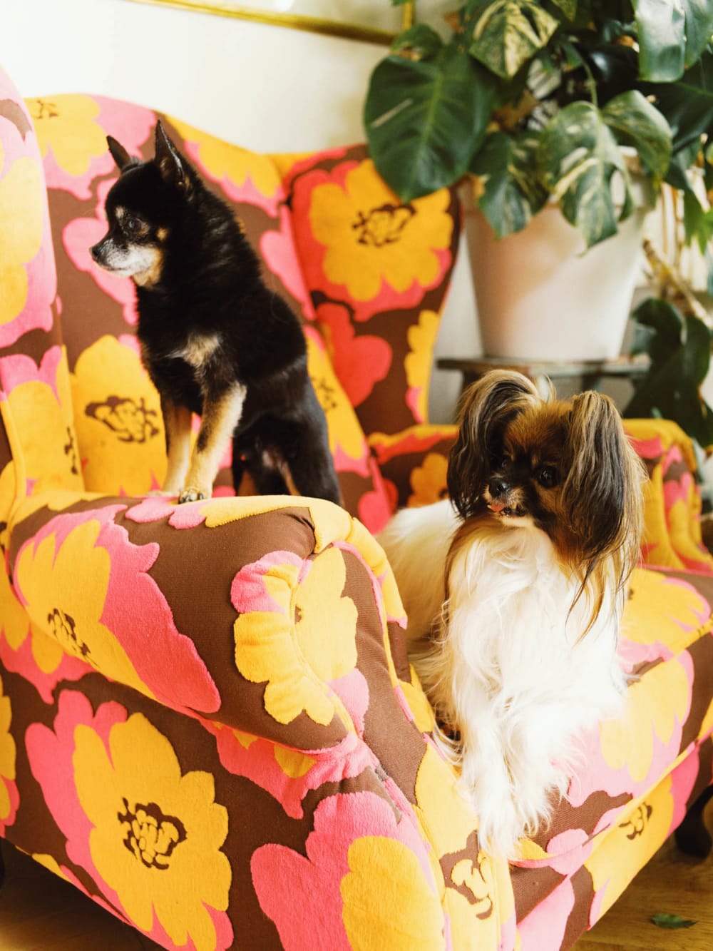 Joakim Hertze — Swedish portrait and editorial photographer — The complete house tour, image 21