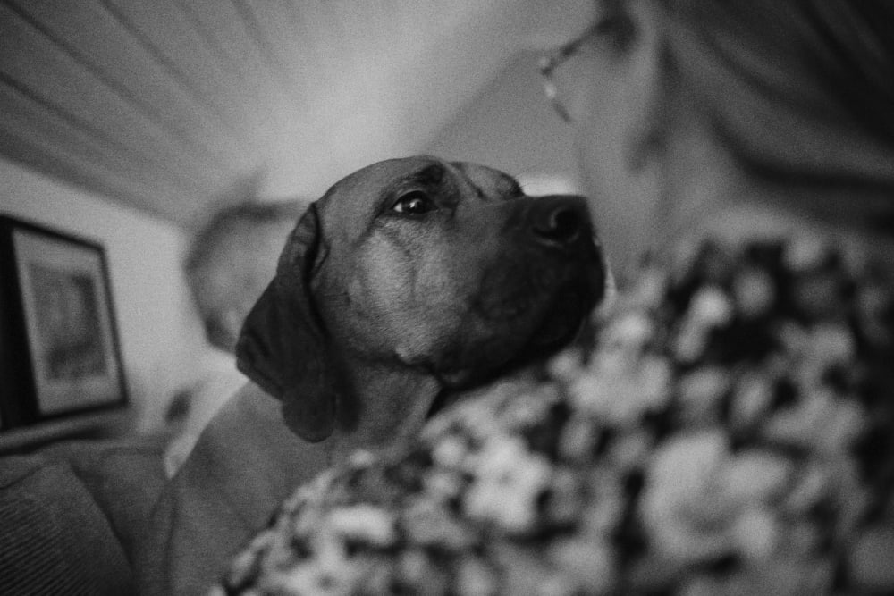 Joakim Hertze — Swedish portrait and editorial photographer — The greatest leftovers, image 32