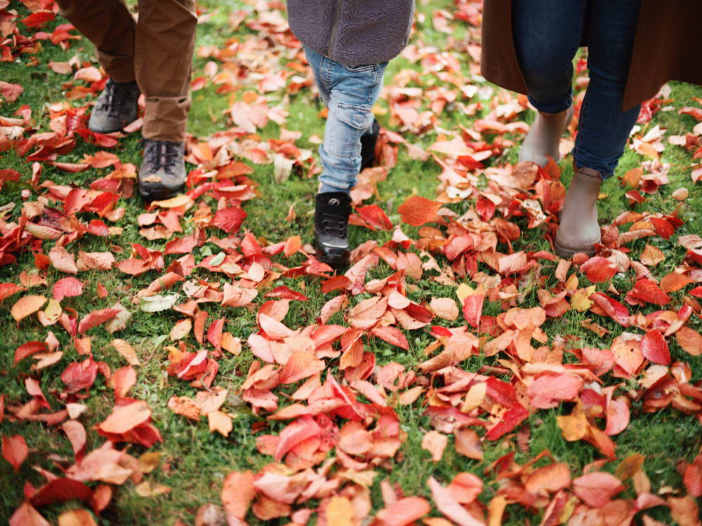 Joakim Hertze — Swedish portrait and editorial photographer — Cecilia's family, image 33