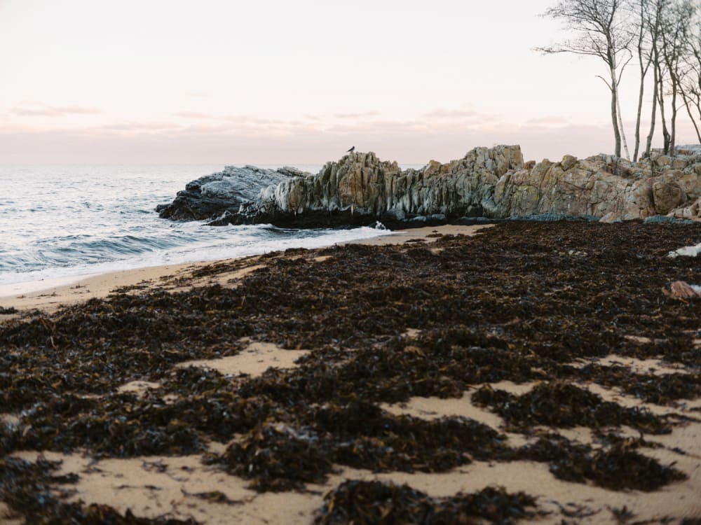 Joakim Hertze — Swedish portrait and editorial photographer — Vårhallarna, image 1