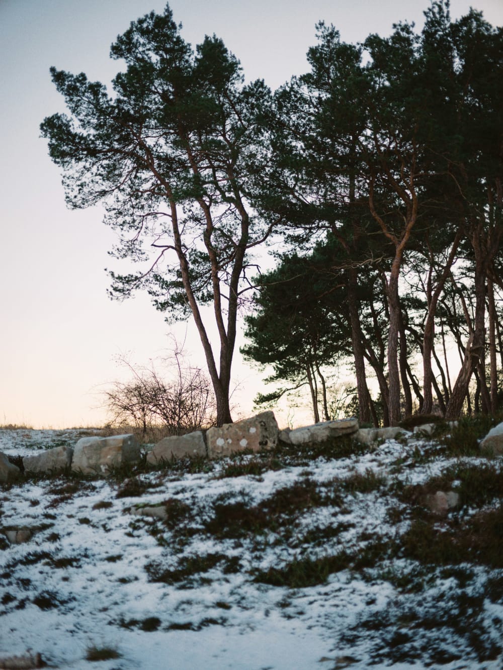 Joakim Hertze — Swedish portrait and editorial photographer — Vårhallarna, image 7