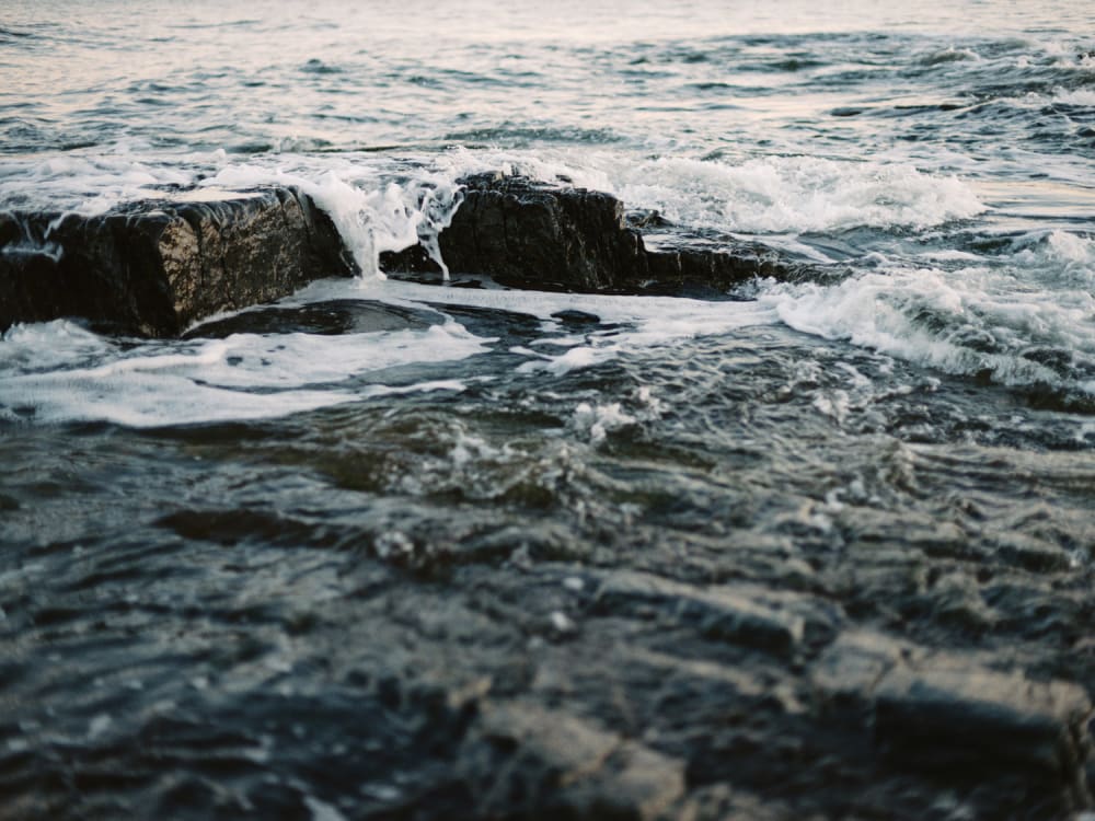 Joakim Hertze — Swedish portrait and editorial photographer — Vårhallarna, image 11