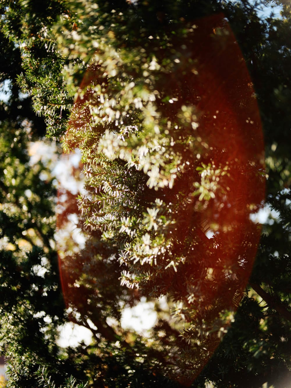 Joakim Hertze — Swedish portrait and editorial photographer — The Voigtländer 40mm/2 lens on the GFX, image 3