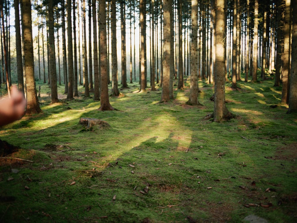 Joakim Hertze — Swedish portrait and editorial photographer — The Voigtländer 40mm/2 lens on the GFX, image 16