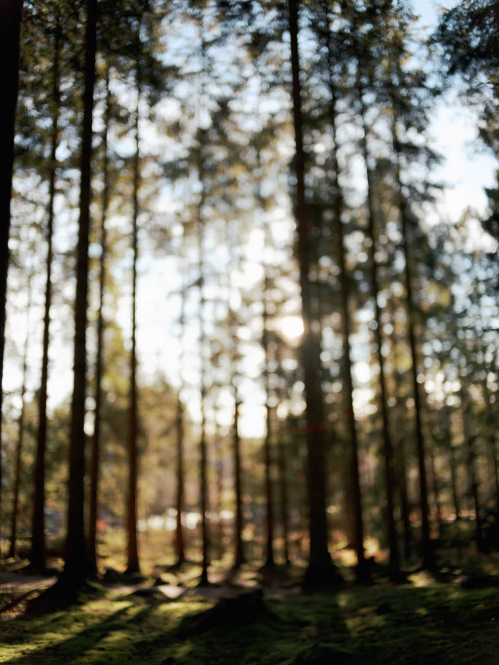 Joakim Hertze — Swedish portrait and editorial photographer — The Voigtländer 40mm/2 lens on the GFX, image 17