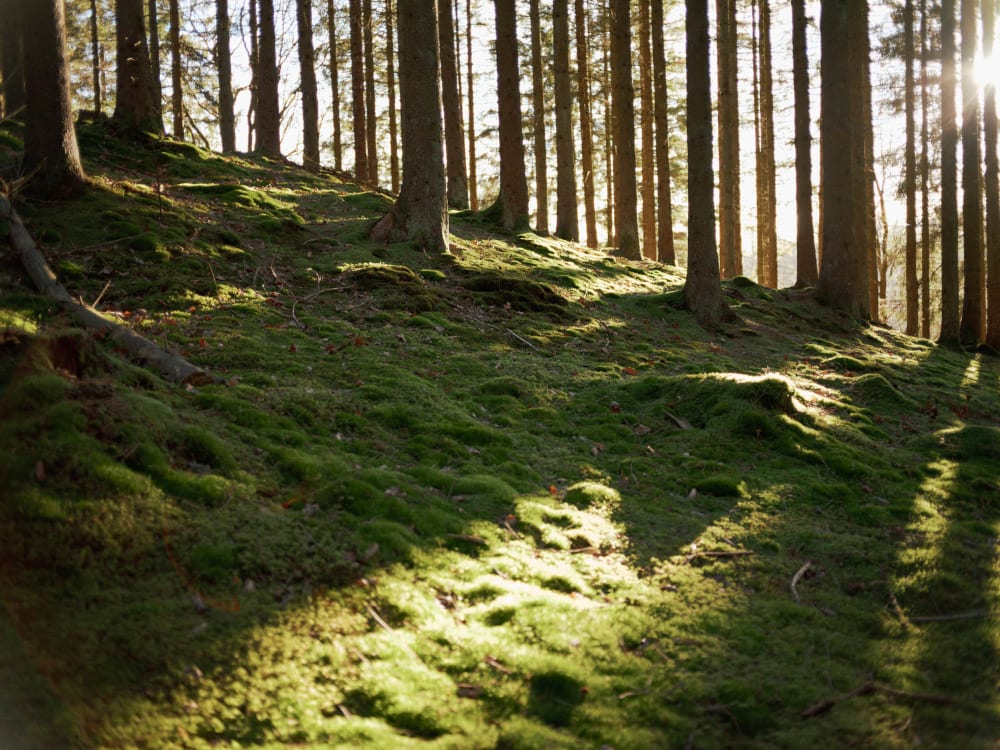 Joakim Hertze — Swedish portrait and editorial photographer — The Voigtländer 40mm/2 lens on the GFX, image 19