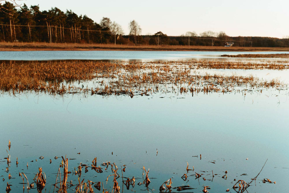Joakim Hertze — Swedish portrait and editorial photographer — Sharpening my axe, image 1