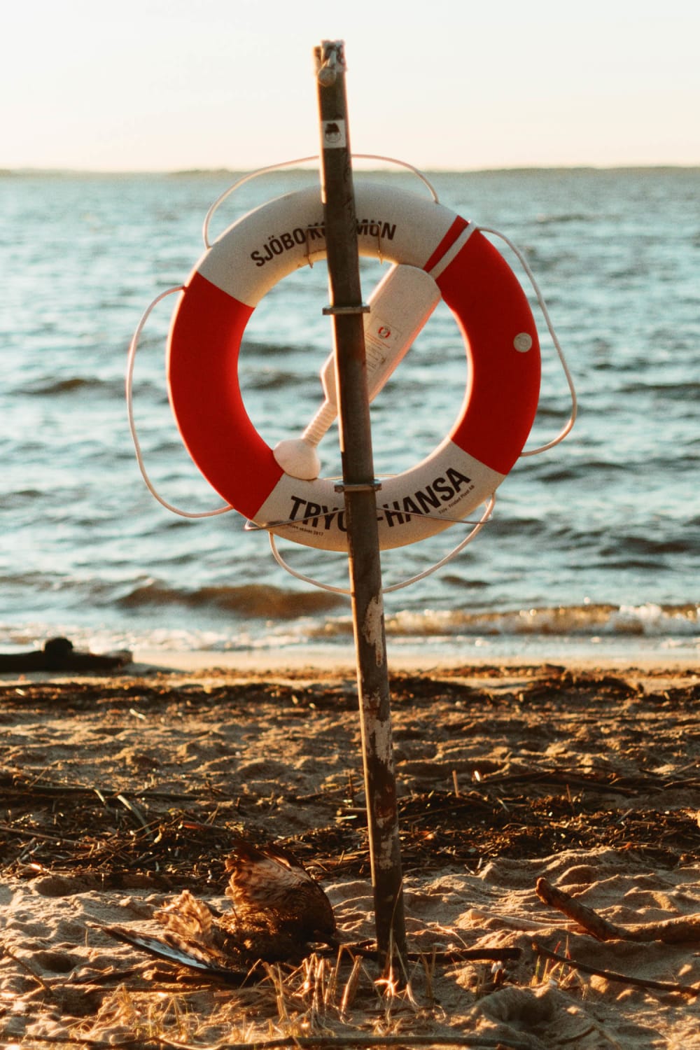 Joakim Hertze — Swedish portrait and editorial photographer — Sharpening my axe, image 3