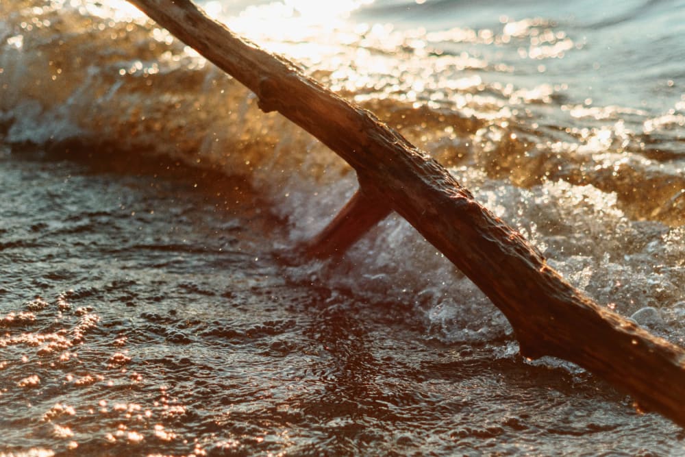 Joakim Hertze — Swedish portrait and editorial photographer — Sharpening my axe, image 4