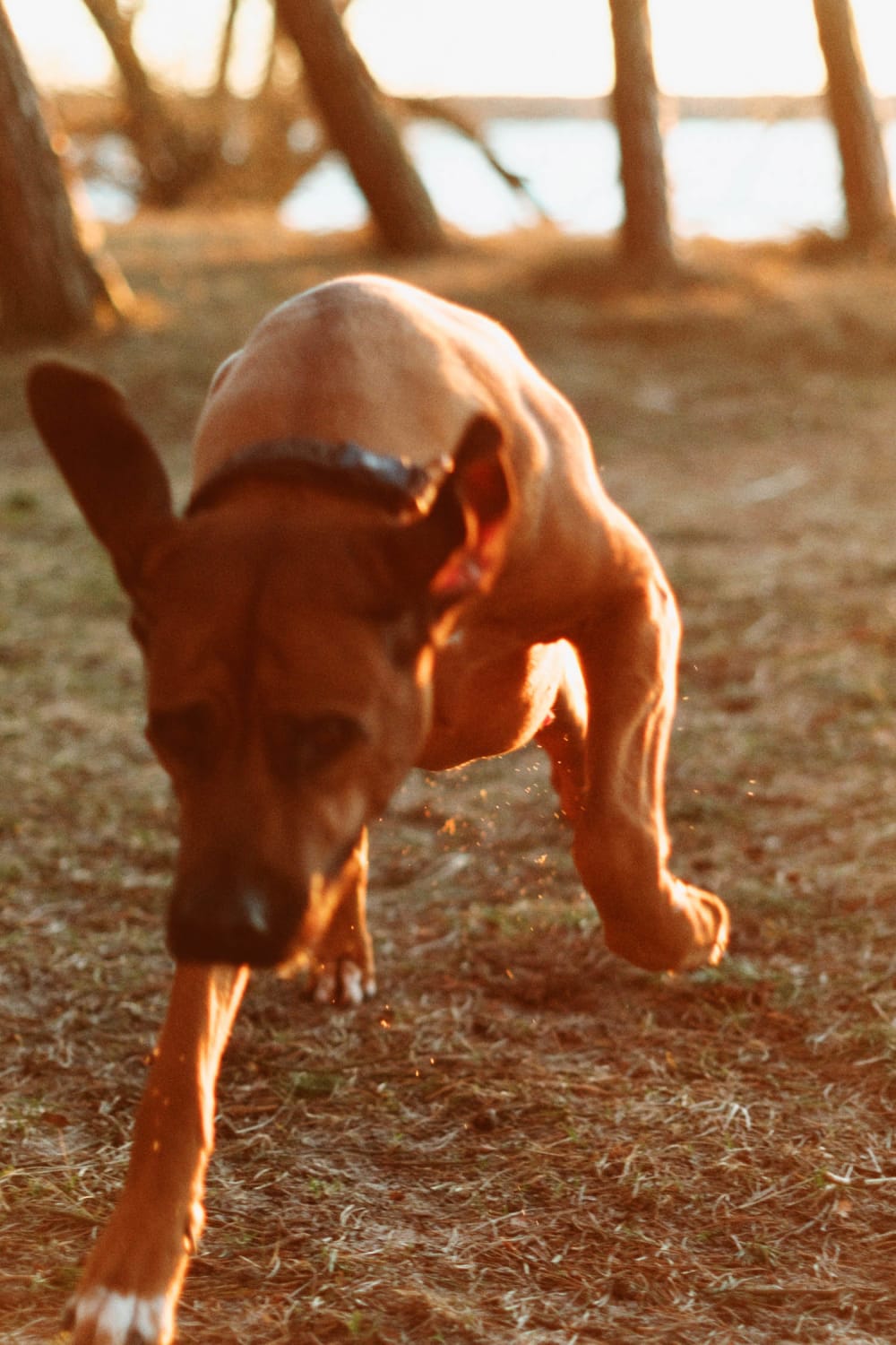 Joakim Hertze — Swedish portrait and editorial photographer — Sharpening my axe, image 12