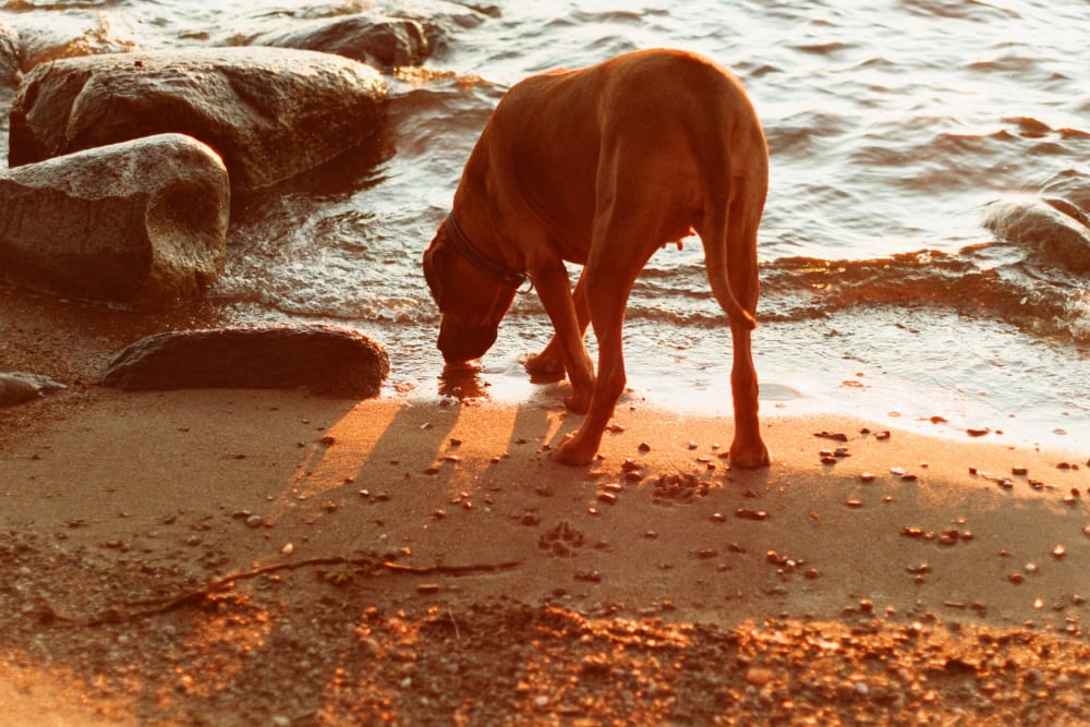 Joakim Hertze — Swedish portrait and editorial photographer — Sharpening my axe, image 13