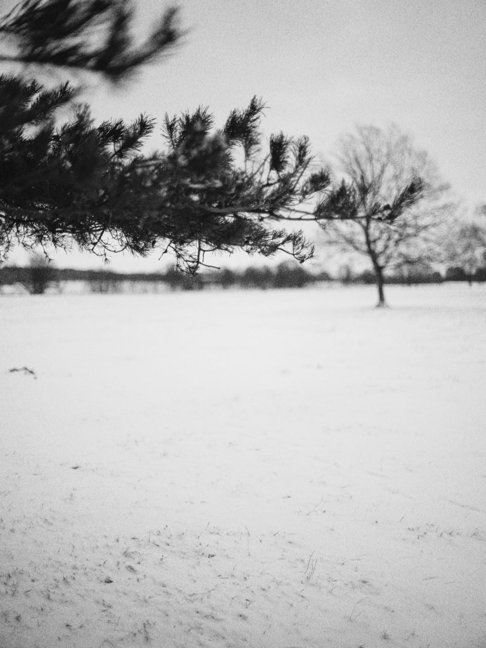 Joakim Hertze — Swedish portrait and editorial photographer — Winter walk, image 2