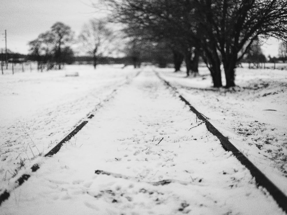 Joakim Hertze — Swedish portrait and editorial photographer — Winter walk, image 6