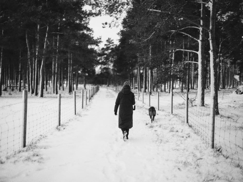 Joakim Hertze — Swedish portrait and editorial photographer — Winter walk, image 10