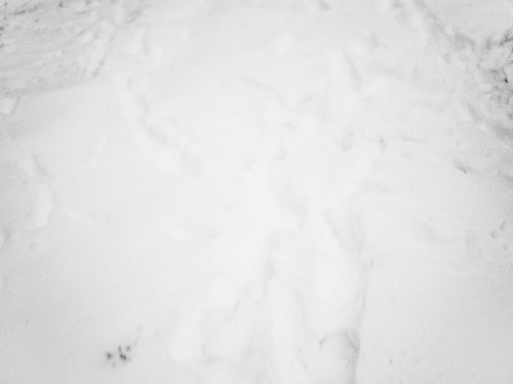 Joakim Hertze — Swedish portrait and editorial photographer — Winter walk, image 11