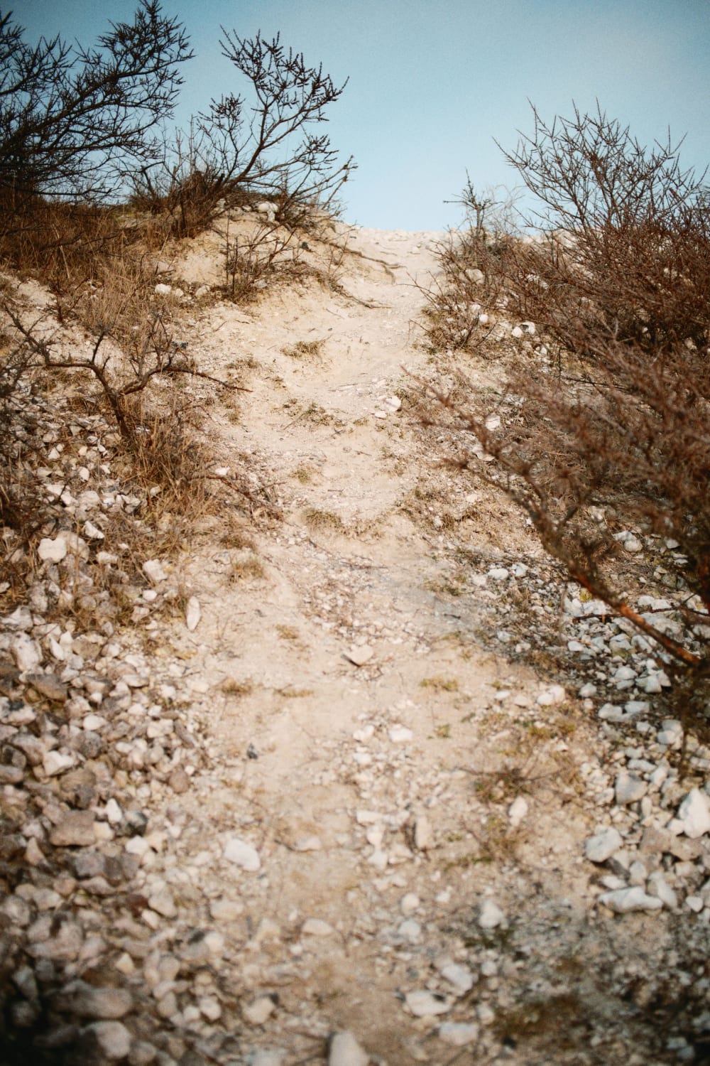 Joakim Hertze — Swedish portrait and editorial photographer — Anna Hertze, Malmö, 2025, image 1